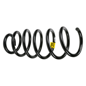 ACDelco® - Genuine GM Parts™ Coil Spring