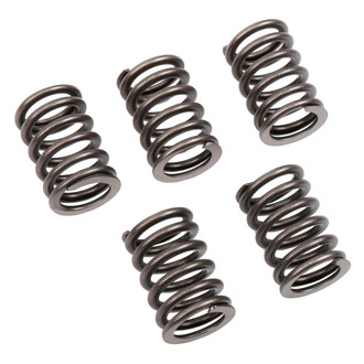 ACDelco® - Genuine GM Parts™ Engine Valve Spring