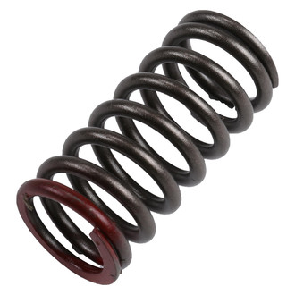ACDelco® - Genuine GM Parts™ Valve Spring