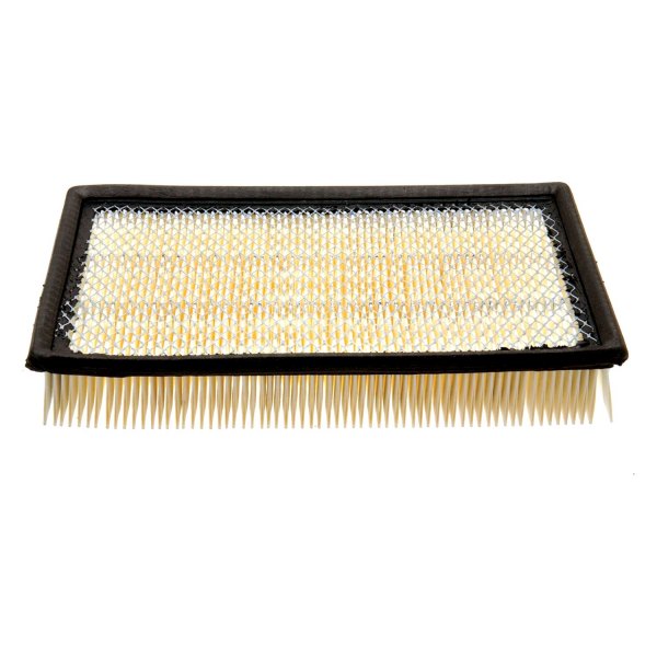 ACDelco® - Gold™ Durapack Air Filter