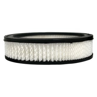 ACDelco® - Gold™ Air Filter