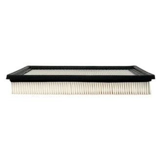 ACDelco® - Gold™ Air Filter