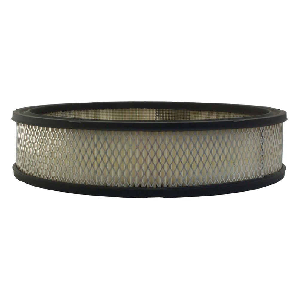 ACDelco A2843C Professional Air Filter