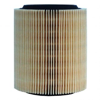 ACDelco A2976C Professional Air Filter 