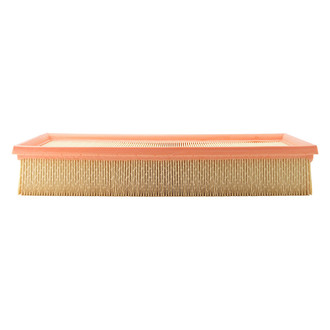 ACDelco® - GM Original Equipment™ Air Filter