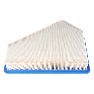 ACDelco® - GM Original Equipment™ Pentagon Air Filter