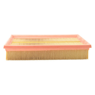 ACDelco® - Gold™ Air Filter