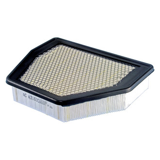ACDelco® - Gold™ Air Filter