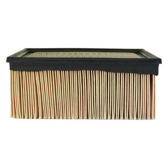 ACDelco® - Gold™ Air Filter
