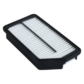 ACDelco® - Gold™ Air Filter