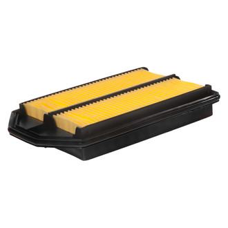 ACDelco® - Gold™ Irregular Air Filter
