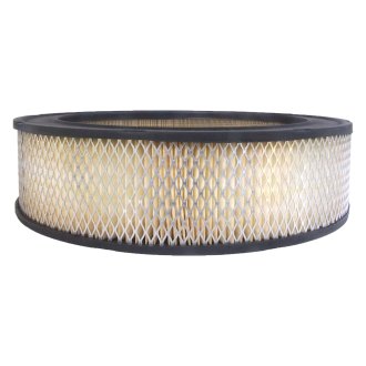 ACDelco® - Gold™ Air Filter