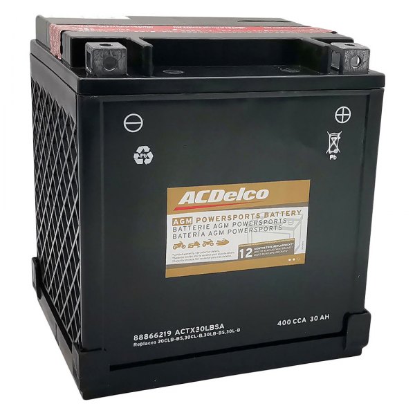 ACDelco® ACTX30LBSA - Professional™ Battery