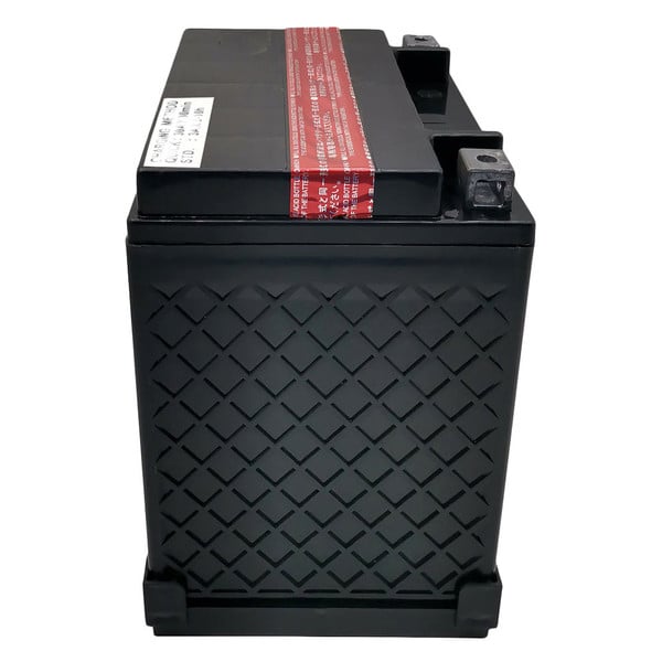 ACDelco® ACTX30LBSA - Professional™ Battery