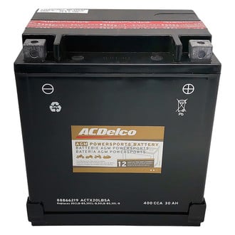 ACDelco エーシーデルコ　オルタネーター　321-1107 ACDelco® ACTX30LBSA - Professional™ Battery