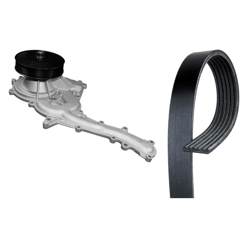 ACDelco® 6K1058 - Professional™ Standard V-Ribbed Serpentine - View #12