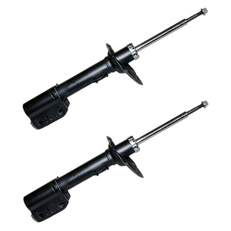 ACDelco® - Professional™ Rear Strut Set