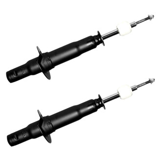 ACDelco® - Professional™ Front Strut Set
