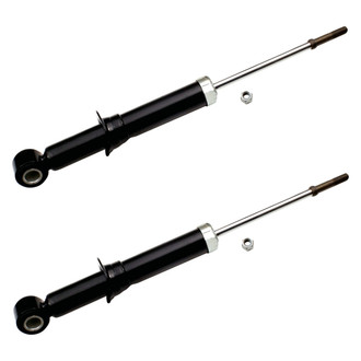 ACDelco® - Professional™ Rear Strut Set