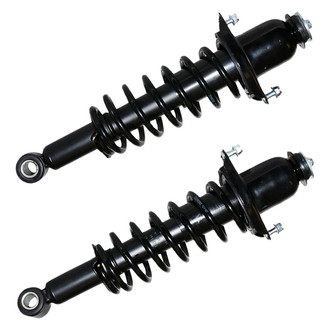 ACDelco® - Professional™ Rear Strut Set
