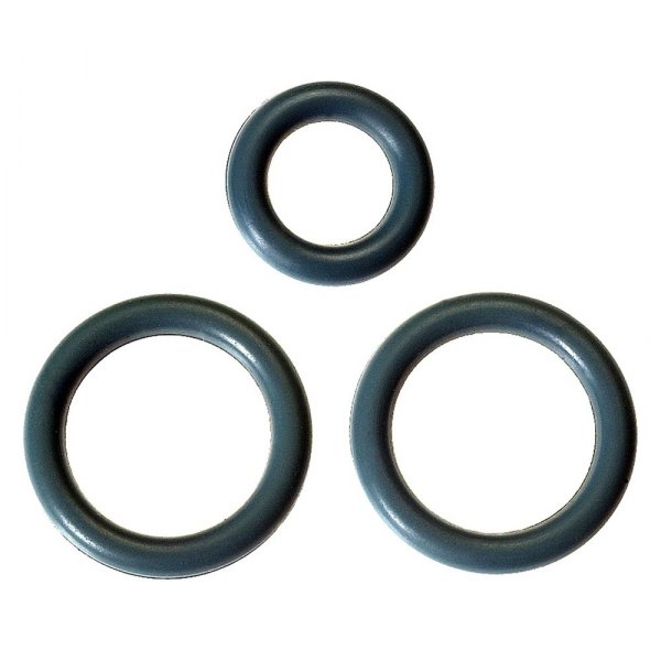ACDelco® - Genuine GM Parts™ Fuel Injection Fuel Distributor O-Rings