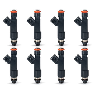 Aceon® - Fuel Injector