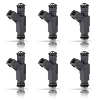 Aceon® - Fuel Injector