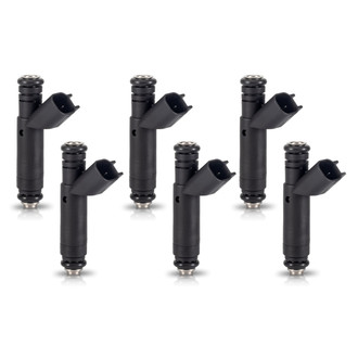Aceon® - Fuel Injector