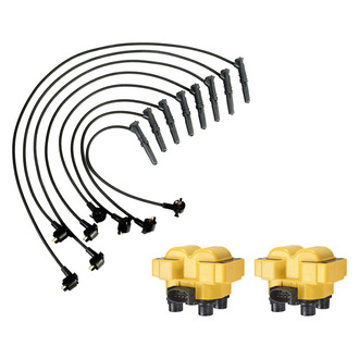 Aceon® - Ignition Coil with Wire Set