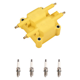 Aceon® - Ignition Coil with Spark Plug Set