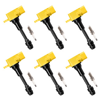 Aceon® - Ignition Coil with Spark Plug Set