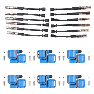 Aceon® - Ignition Coil with Spark Plug and Wire Set