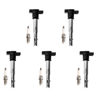 Aceon® - OE Series™ Ignition Coil with Spark Plug Set