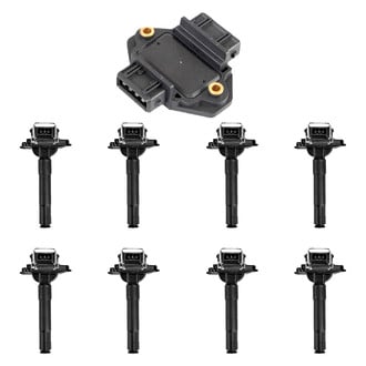 Aceon® - OE Series Ignition Coil with Control Module Set