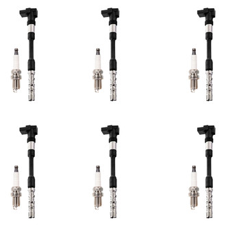 Aceon® - OE Series Ignition Coil with Spark Plug Set