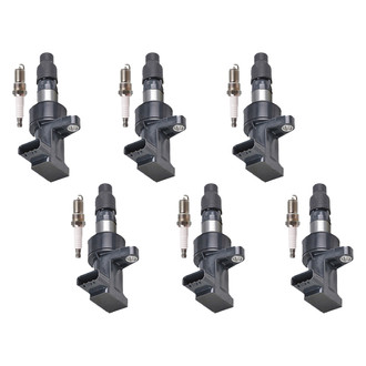 Aceon® - OE Series Ignition Coil with Spark Plug Set