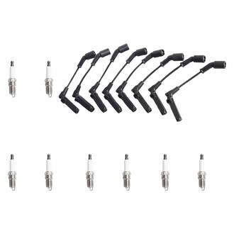 Aceon® - OE Series™ Spark Plug and Wire Set