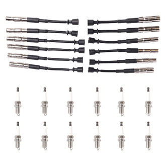 Aceon® - OE Series Spark Plug and Wire Set