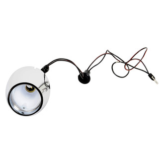ACP® - Passenger Side Replacement Backup Light Housing