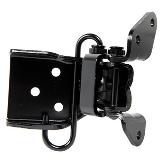 ACP® - Lower Driver Side Door Hinge