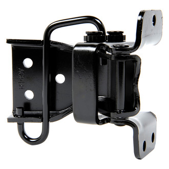 ACP® - Lower Driver Side Door Hinge