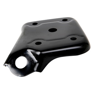 ACP® - Rear Passenger Side Rear Spring Shock Plate