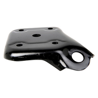 ACP® - Rear Driver Side Rear Spring Shock Plate