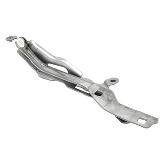 ACP® - Driver Side Hood Hinge