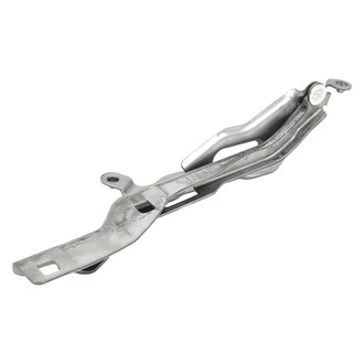 ACP® - Passenger Side Hood Hinge