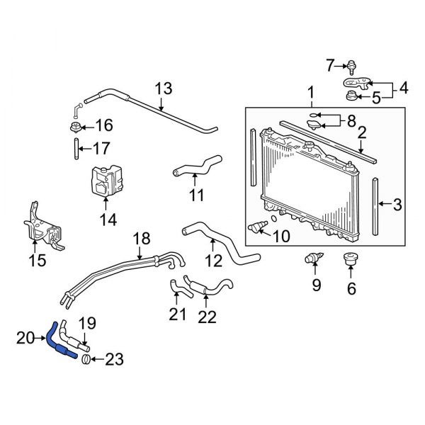 Automatic Transmission Oil Cooler Hose