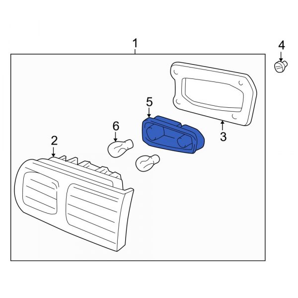 Tail Light Socket