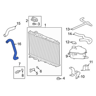 Acura OE - Lower Radiator Coolant Hose