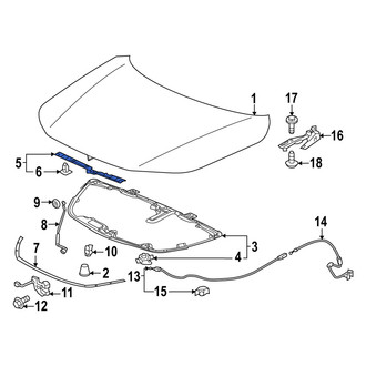 Acura OE - Rear Hood Seal