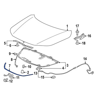 Acura OE - Front Hood Seal